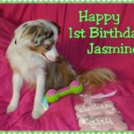 Jasmine's 1st Birthday